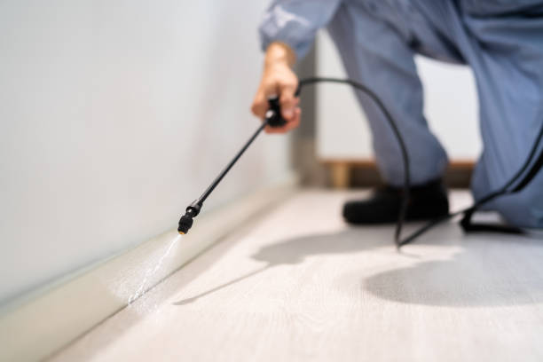 Licensed Pest Control service in Sterling Heights, MI - Show Me Pest Control