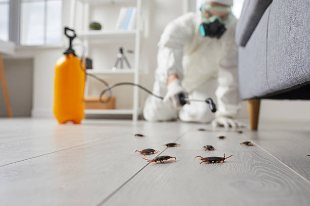 Commercial Rodent Management in Sterling Heights
